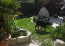 4Zorra-6 uk