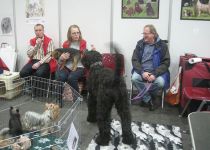 Oldenburg 8.11.2014 am KFT Stand mit Hundefreuden