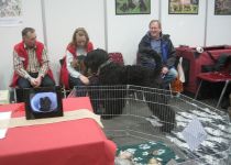 Oldenburg 8.11.2014 am KFT Stand mit Hundefreunden 1