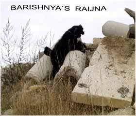 Barishnya's Raijna